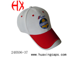Product Type:24HX06-37