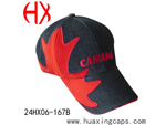 Product Type:24HX06-167B